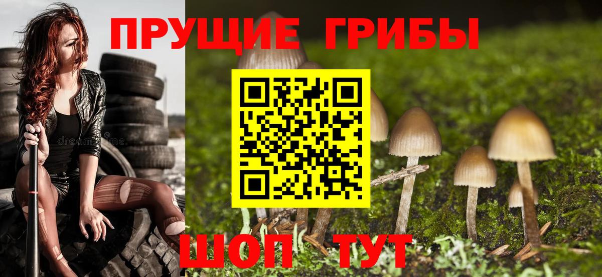 Псилоцибиновые грибы MAGIC MUSHROOMS  Вход с VPN  Белогорск 