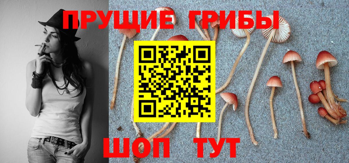 Псилоцибиновые грибы Magic Shrooms Белогорск